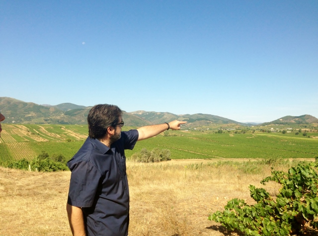visita_bodegas_peique_Luis_Peique